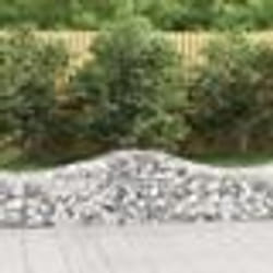 vidaXL Paniers à gabions arqués 40 pcs 200x50x40/60 cm fer galvanisé