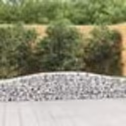 vidaXL Paniers à gabions arqués 25 pcs 400x30x40/60 cm Fer galvanisé