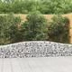 vidaXL Paniers à gabions arqués 25 pcs 400x30x40/60 cm Fer galvanisé
