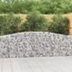 vidaXL Paniers à gabions arqués 25 pcs 400x30x80/100 cm Fer galvanisé