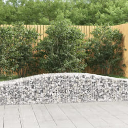 vidaXL Paniers à gabions arqués 20 pcs 400x50x40/60 cm Fer galvanisé