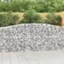 vidaXL Paniers à gabions arqués 15 pcs 400x50x100/120 cm Fer galvanisé