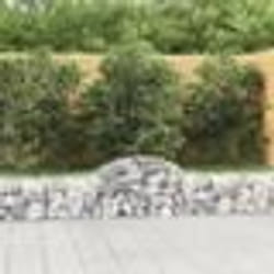 vidaXL Paniers à gabions arqués 30 pcs 200x30x40/60 cm Fer galvanisé