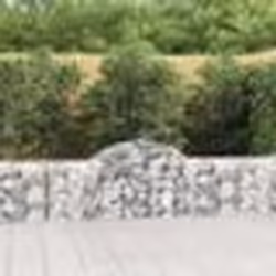 vidaXL Paniers à gabions arqués 50 pcs 200x30x60/80 cm Fer galvanisé