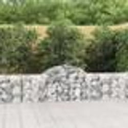 vidaXL Paniers à gabions arqués 50 pcs 200x30x60/80 cm Fer galvanisé
