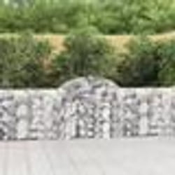 vidaXL Paniers à gabions arqués 40 pcs 200x30x80/100 cm Fer galvanisé