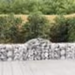vidaXL Paniers à gabions arqués 30 pcs 200x50x60/80 cm fer galvanisé