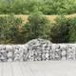 vidaXL Paniers à gabions arqués 30 pcs 200x50x60/80 cm fer galvanisé