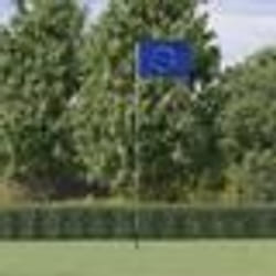 vidaXL Drapeau de l'Europe et mât 5,55 m Aluminium