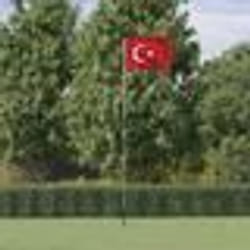 vidaXL Drapeau de la Turquie et mât 5,55 m Aluminium
