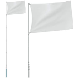 Vidaxl - Mât de drapeau télescopique Argenté 5,55 m Aluminium