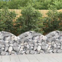Vidaxl - Panier de gabions arqué 100x30x60/80 cm Fer galvanisé