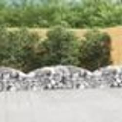 vidaXL Panier de gabions arqué 200x50x40/60 cm Fer galvanisé