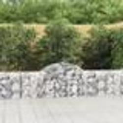 vidaXL Panier de gabions arqué 200x30x60/80 cm Fer galvanisé