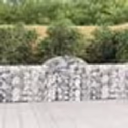 vidaXL Panier de gabions arqué 200x30x80/100 cm Fer galvanisé