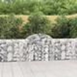 vidaXL Panier de gabions arqué 200x30x80/100 cm Fer galvanisé