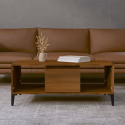 VidaXL 821075 Table à café, latérale et de salon