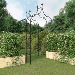 Vidaxl - Arches de jardin 2 pcs Noir 120x38x260 cm Acier