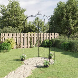 Vidaxl - Arche de jardin Noir Ø180x255 cm Acier