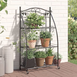 Vidaxl - tagère à fleurs Noir 56x30x96 cm Acier