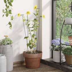vidaXL Piquets pour plantes de jardin 20 pcs vert foncé 61 cm acier