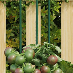 Vidaxl - Piquets pour plantes de jardin 30 pcs vert 60 cm acier