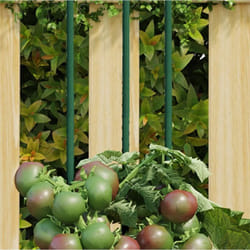 Vidaxl - Piquets pour plantes de jardin 30 pcs vert 115 cm acier