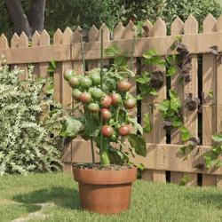 Ces supports pour plantes de jardin pratiques garantissent des conditions optimales, assurant la croissance de diverses sorte ...
