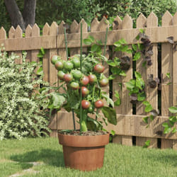 Vidaxl - Supports pour plantes de jardin 3 anneaux 5pcs Vert 45 cm Acier