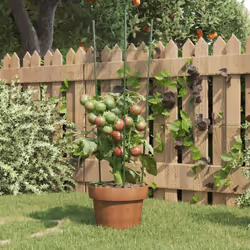 Ces supports pour plantes de jardin pratiques garantissent des conditions optimales, assurant la croissance de diverses sorte ...