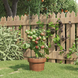 Vidaxl - Supports pour plantes de jardin 3 anneaux 5pcs Vert 60 cm Acier
