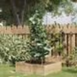 vidaXL Supports pour plantes de jardin 4 anneaux 5pcs Vert 90 cm Acier