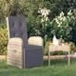 vidaXL Chaise inclinable de jardin avec coussins gris résine tressée