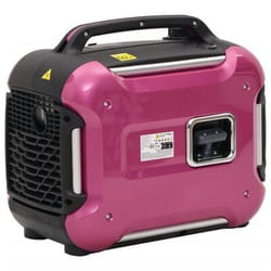 VidaXL 8720845682651 groupe électrogène 1700 W 4 L Essence Noir, Rose