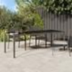 vidaXL Table à manger de jardin Grise 250x100x75 cm Poly Rattan