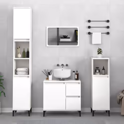 VidaXL 819796 miroir de salle de bain et armoire de rangement pour évier