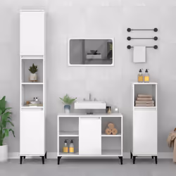 VidaXL 821294 miroir de salle de bain et armoire de rangement pour évier