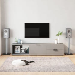 Vidaxl - Supports de haut-parleurs 2 pcs noir/argenté 2 piliers