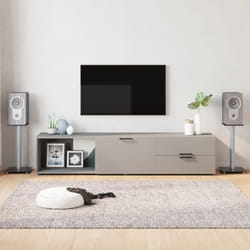 vidaXL Supports de haut-parleurs 2 pcs noir et argenté 1 pilier