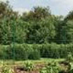 vidaXL Clôture en treillis métallique et piquet d'ancrage vert 1,6x25m