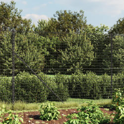 vidaXL Clôture en treillis métallique avec bride anthracite 2,2x25 m