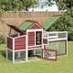 vidaXL Poulailler moka 186,5x58,5x113 cm bois massif de pin