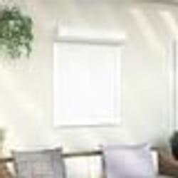 vidaXL Chenil marron 159x120x88,5 cm bois de pin solide