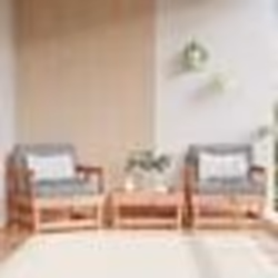 vidaXL Chaises de jardin avec coussins lot de 2 bois massif douglas