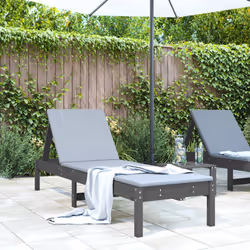 VidaXL 825069 chaise d'extérieur Terrace Bois de pin Gris