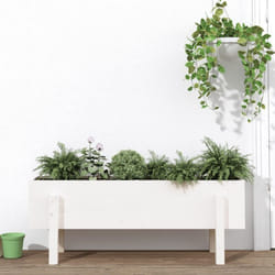 Vidaxl - Lit surélevé de jardin blanc 101x30x38 cm bois de pin massif