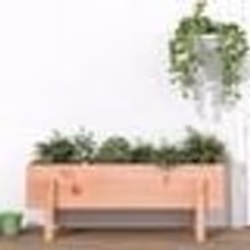 vidaXL Lit surélevé de jardin 101x30x38 cm bois douglas massif