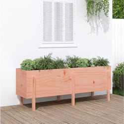 Vidaxl - Lit surélevé de jardin 160x50x57 cm bois Douglas massif