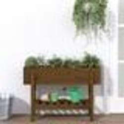 vidaXL Lit surélevé de jardin marron miel 101x30x69 cm bois pin massif
