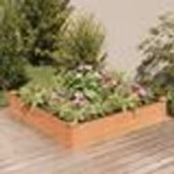 vidaXL Lit surélevé de jardin doublure 120x120x25 cm bois massif sapin